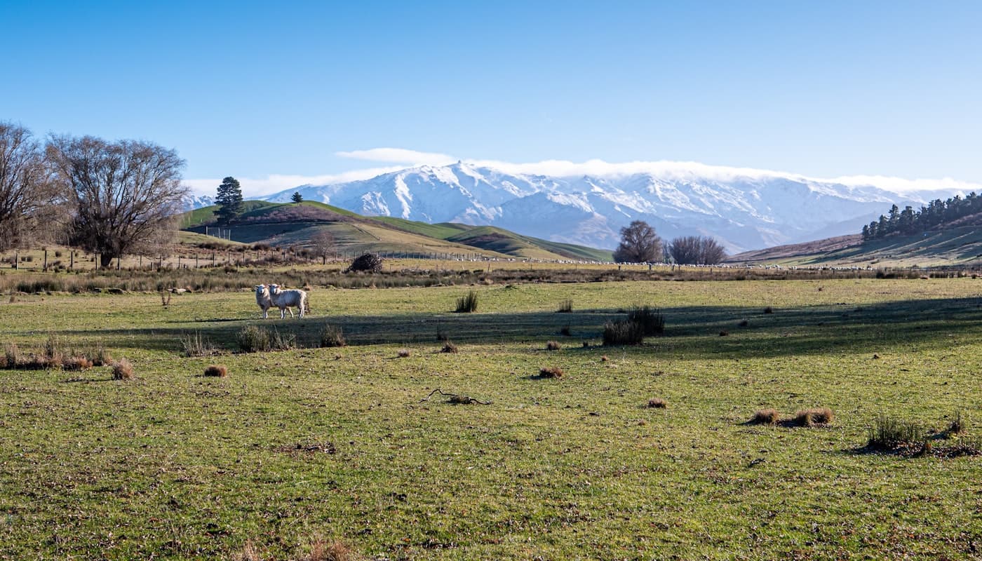 Agriculture & Farming — Advisory